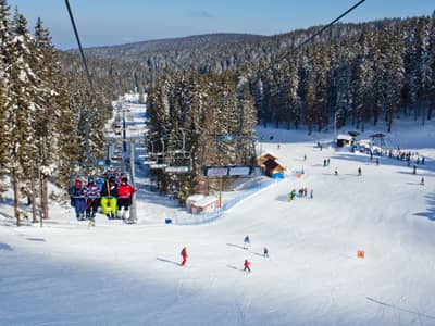 Skijalište Rogla